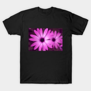 Daisy Delight T-Shirt